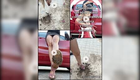 I DIRTY SULAS WITH EARTH AND BURNED TRUNKS