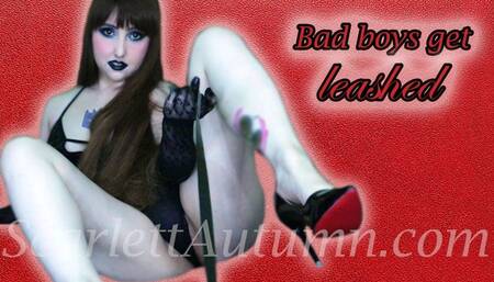 Bad boys get Leashed - MP4 HD 1080p