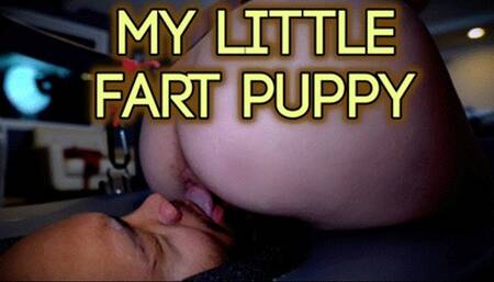 My LIttle Fart Puppy (HD 1080P MP4)