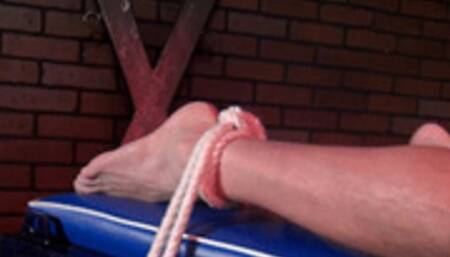 Mistress K - Caning that ass! - WMV