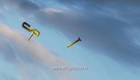 Scouting For More Trouble HD