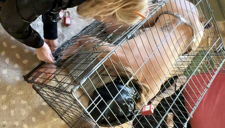 Locked inside a dog cage AND chastity cage, femdom fisting and foot plus dildos of course