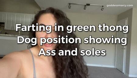 Marcy Farting in green thong, doggy position, showing ass and soles - Brazilian Farts