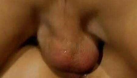 Various Artist - Homey In A Haystack