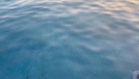 Bella Chair Bondage!