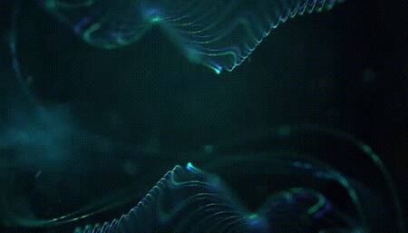 Big Tits and Big Sneezes *wmv*