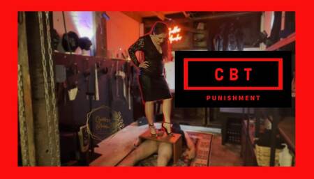 CBT Punishment