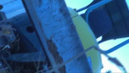 Flattened, Inflated and Beaten to a Pulp 720p mp4