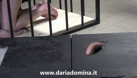 PEE HOLE PLAY WITH PROBES AND NAILS, CLOSE UP POV, 3 DOMINAS PLAYING WITH YOUR URETHRA HD