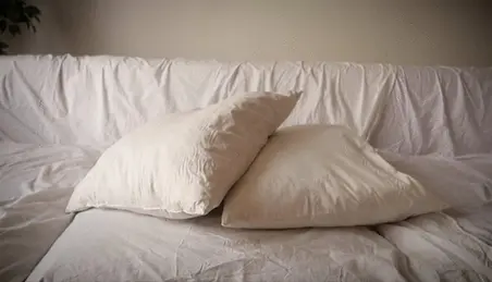 Pillow Fight Porn - Pillow Fighting Porn Videos (1) - FAPSTER