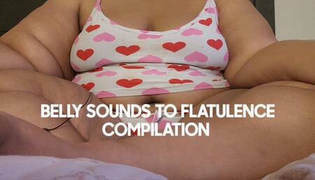 BELLY SOUNDS TO FLATULENCE COMPILATION