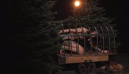 Skinny girl want to get out of the cage - mp4 720p