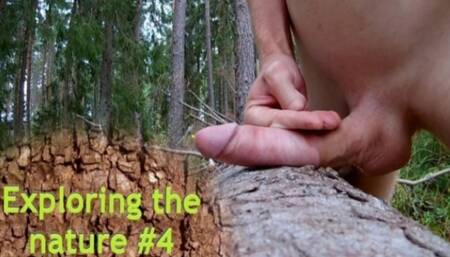 Exploring the nature #4 - Risking it on a Forest path