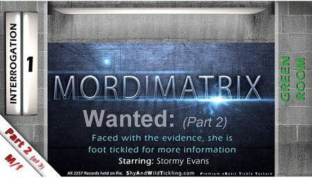 Mordimatrix 1: Wanted - Part 2
