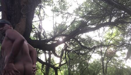 185 Wanking My Cock in The Forest