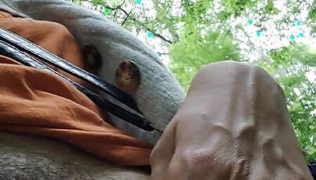Pussy in the park