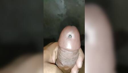 ISHNAV