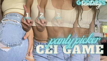 Panty Picker CEI Game