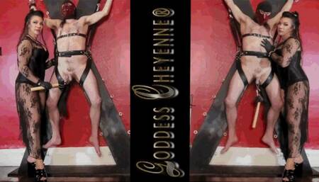 Keeping Him in Suspense