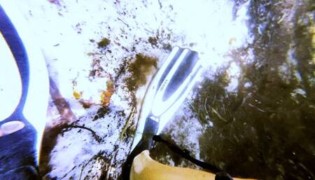 Carissa in the spring with her nipples exposed-oh my!