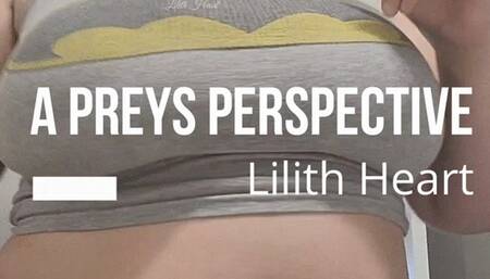 A Prey's Perspective