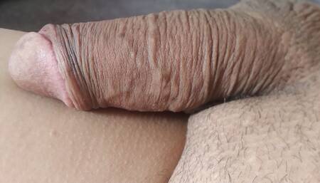 Roloeverga82