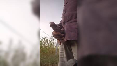 10 loads in 1 dumpster video