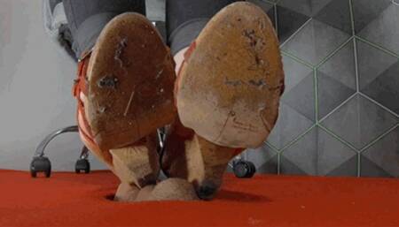 CC - Sorry, I crushed a spider