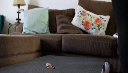 Disappointing me in the cockbox