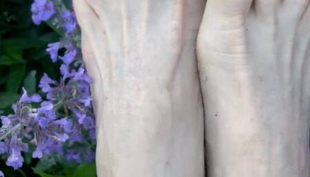 Barefoot Garden Party 2 Minute Video