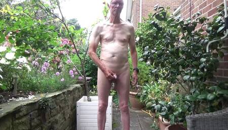 Patio Ball Stretcher Wank