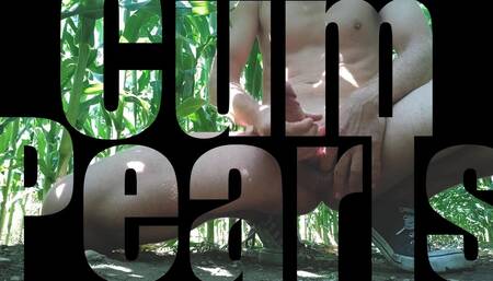 Cornfield Trailer Piss and Cum Outdoors