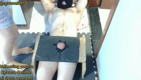 377 Stomping balls with french nails in ballbusting table