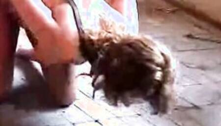 Hard BDSM session with my wife in 1992