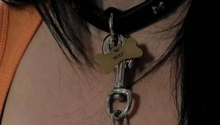 Busty "Beef" Pet in Training