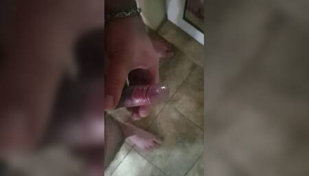 Gato sex