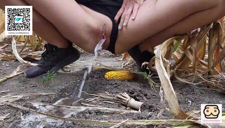 Urgent Piss in the Cornfield