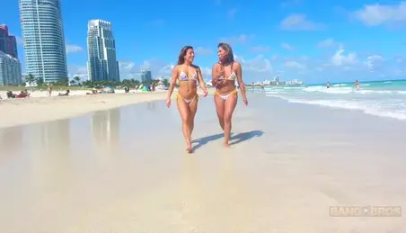 Bangbros Beach Tits - Bangbros Beach Porn Videos - FAPSTER