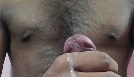 Indian Cock )