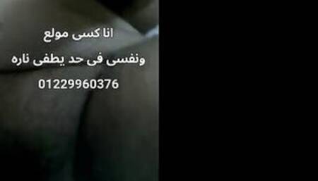 شرموطة اسكندرانية فاجرة ورقم الى مشغلها 01229960376