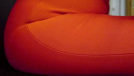 Teddy bear will suffer