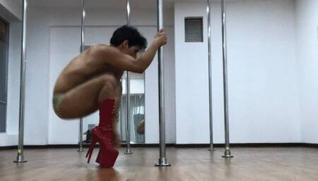 Lucazfox sexy pole dancing