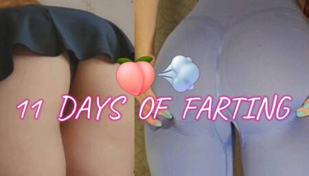 Fart Compilation: 11 Gassy Days