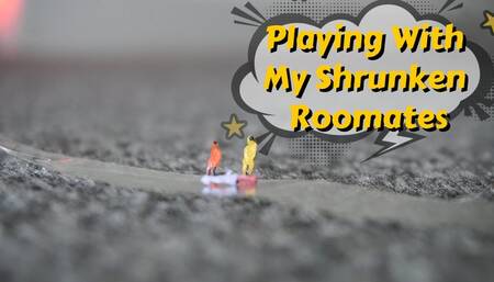 Playing With Tiny Roomates