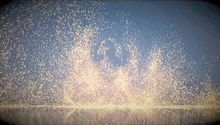 Kitten prefers cloth