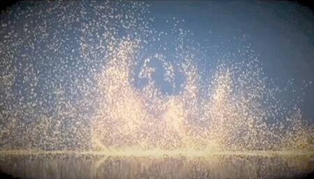 Kitten's diaper humpies