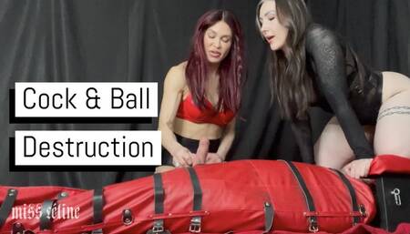 Cock & Ball Destruction | Double Domme Bondage Ballbusting