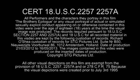 The Brothers Epilogue sex files