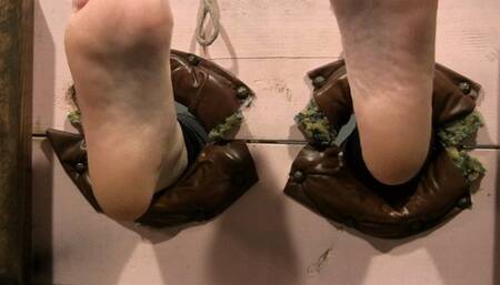 Your getting it good today feet in stocks