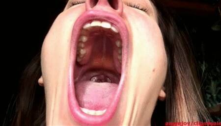 72 hours without sleep wmv